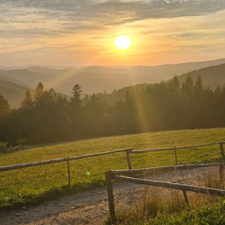 Dom Wypoczynkowy Beskidy Wegierska Gorka Wegierska Górka Exterior foto