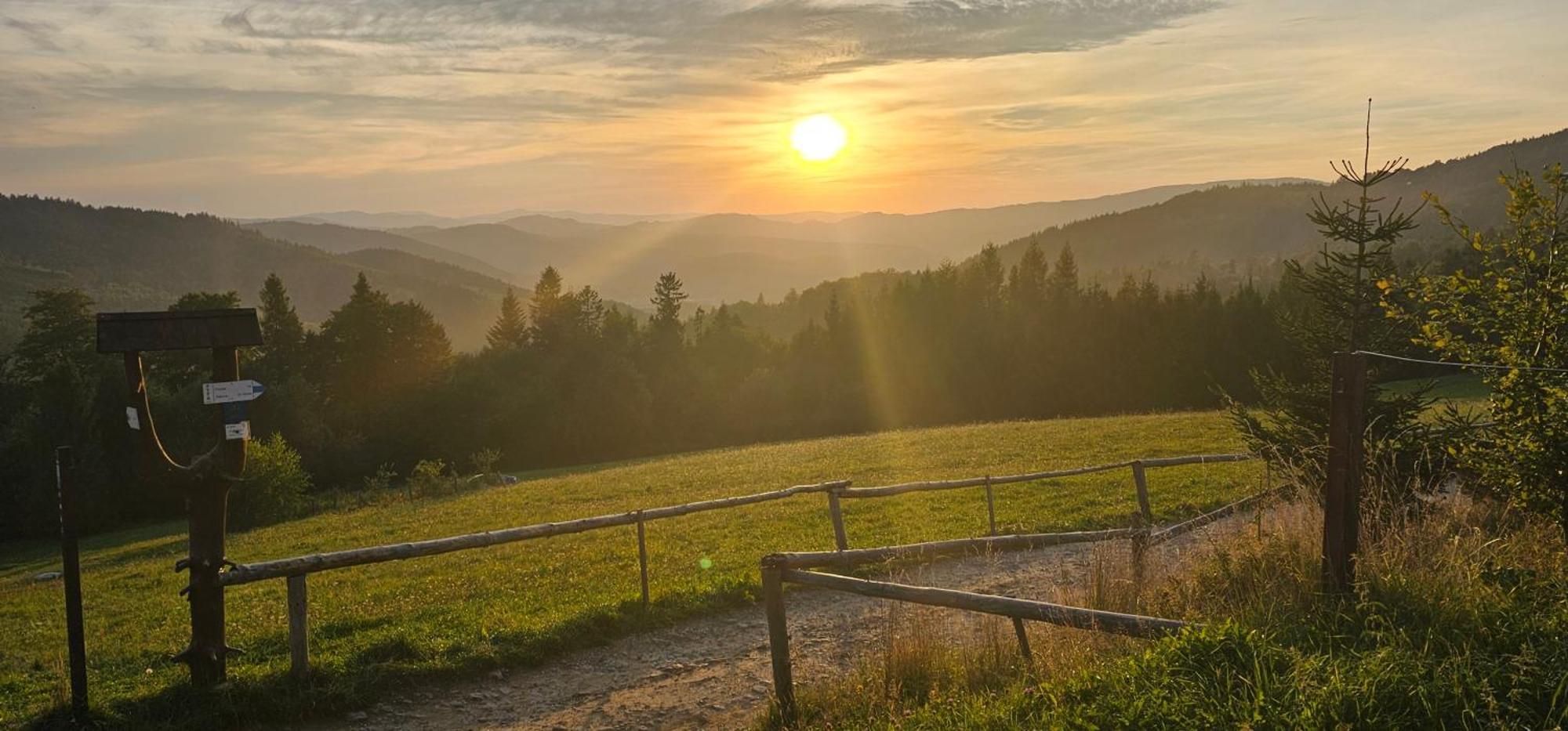 Dom Wypoczynkowy Beskidy Wegierska Gorka Wegierska Górka Exterior foto
