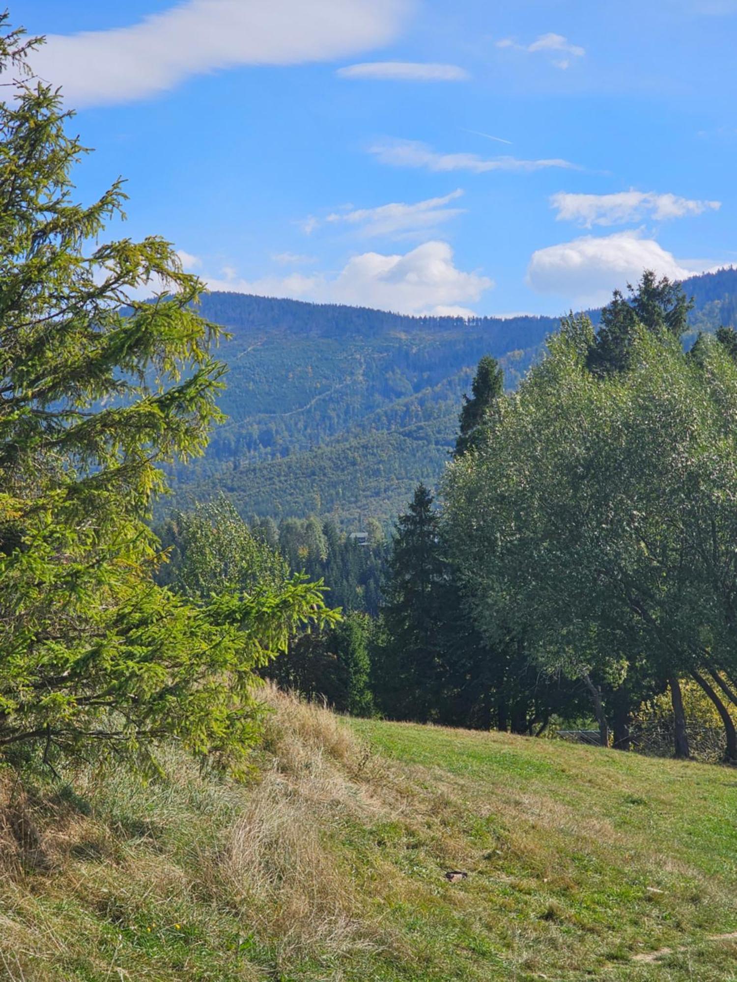 Dom Wypoczynkowy Beskidy Wegierska Gorka Wegierska Górka Exterior foto